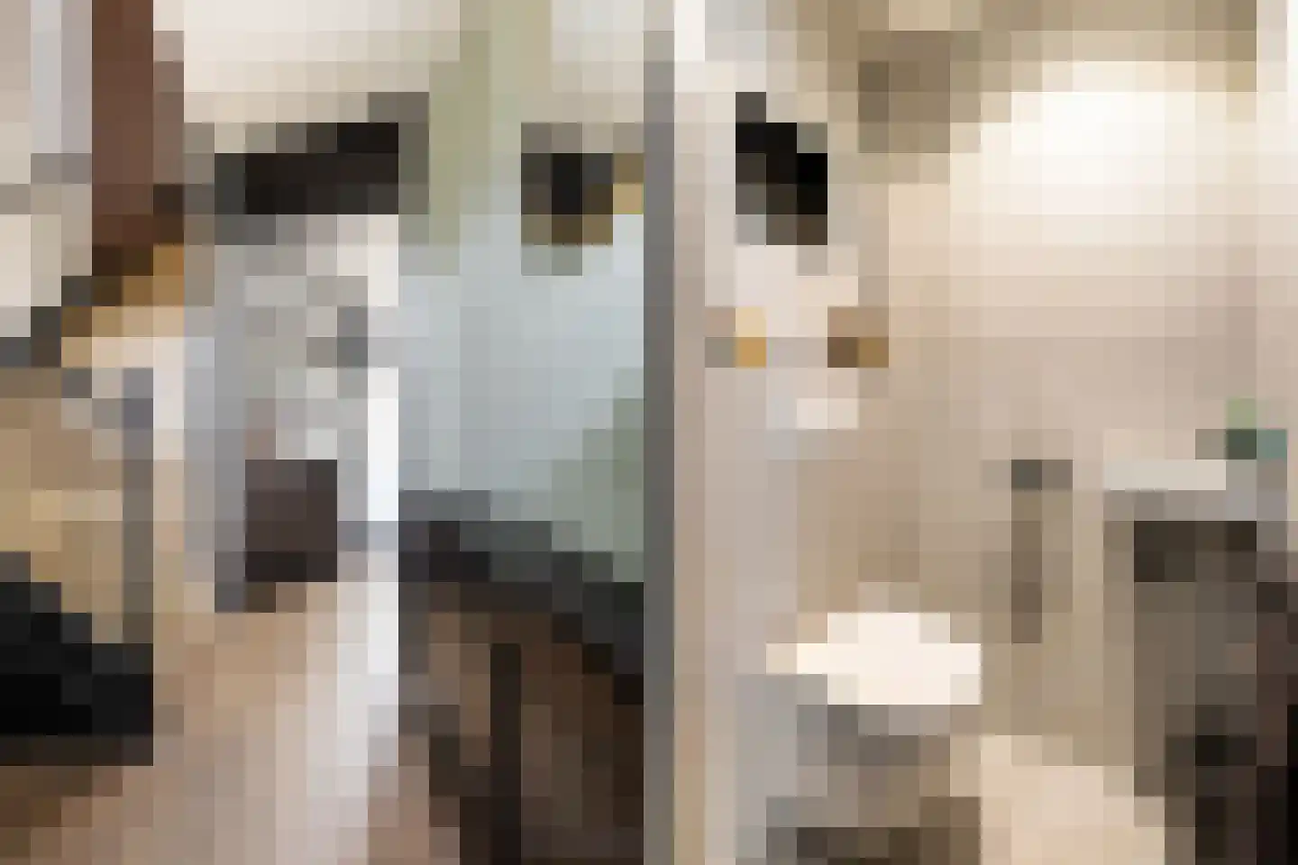 Kostverloren 26 Nijkerk thumbnail 9