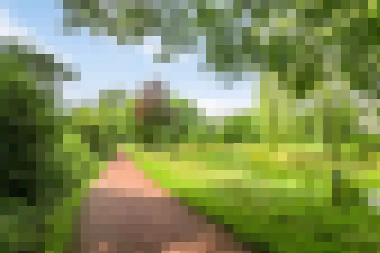 Kostverloren 34 Nijkerk thumbnail 30