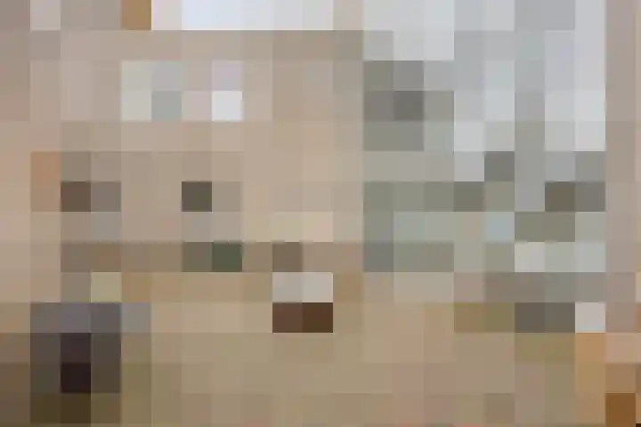 Kostverloren 41 Elst thumbnail 11