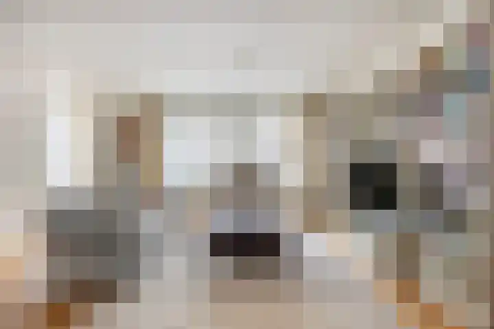 Kostverloren 41 Elst thumbnail 16