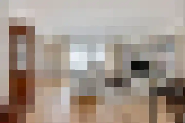 Kostverloren 41 Elst thumbnail 17