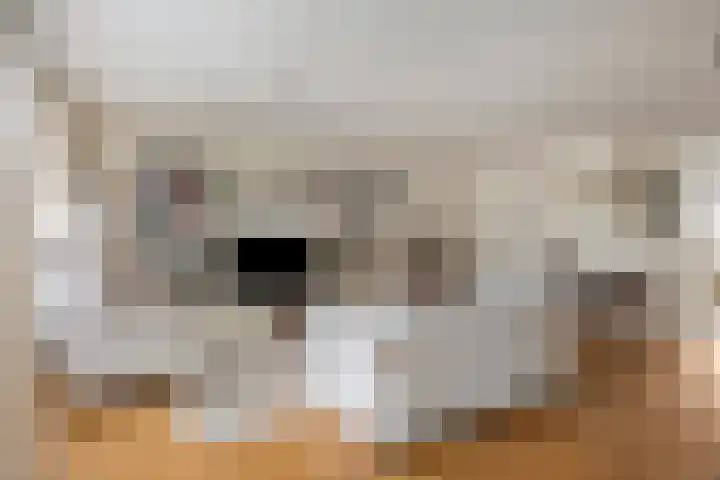 Kostverloren 41 Elst thumbnail 21