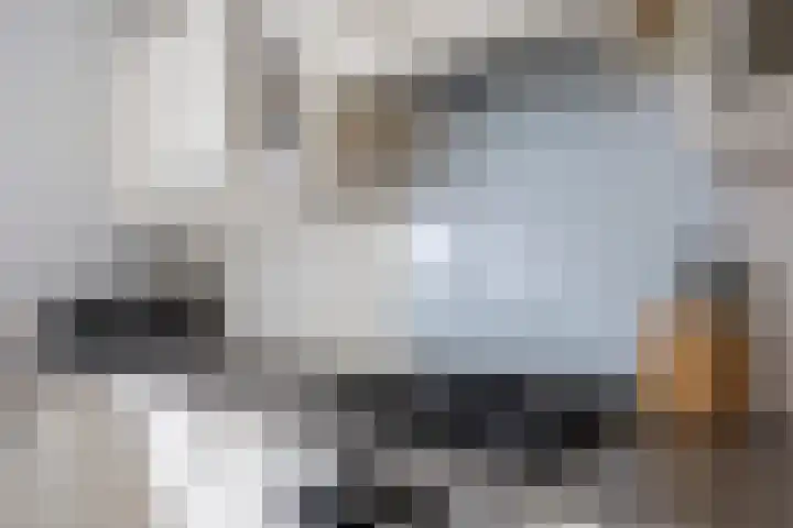 Kostverloren 41 Elst thumbnail 23