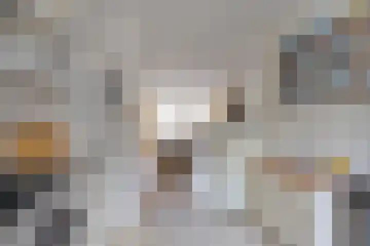 Kostverloren 41 Elst thumbnail 24