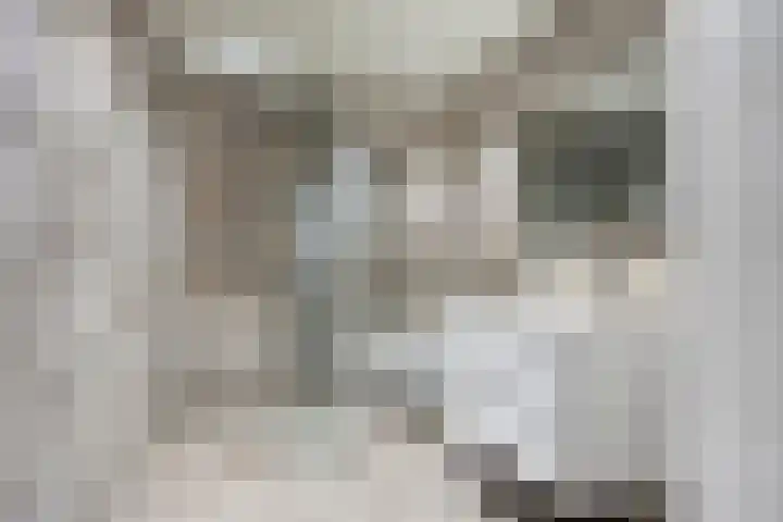 Kostverloren 41 Elst thumbnail 29