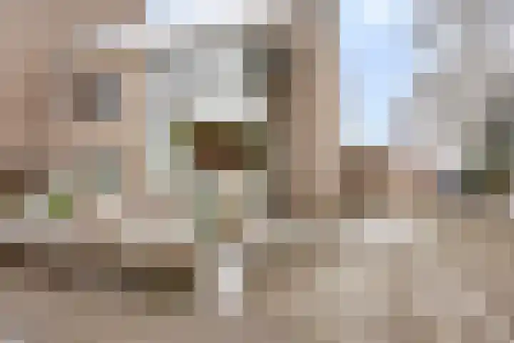 Kostverloren 41 Elst thumbnail 6