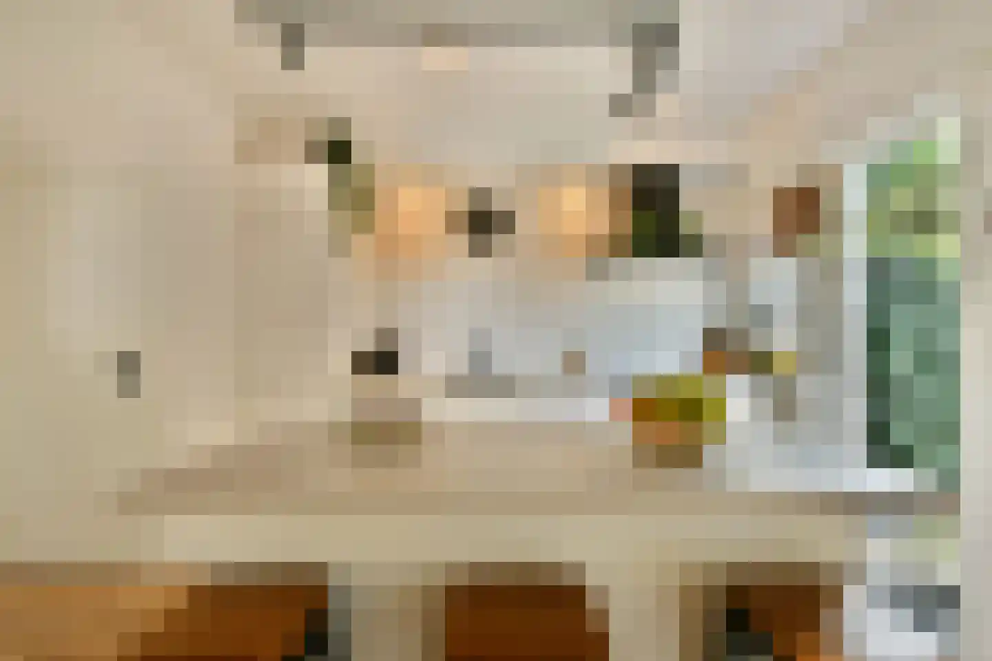 Kostverloren 54 Laren thumbnail 12