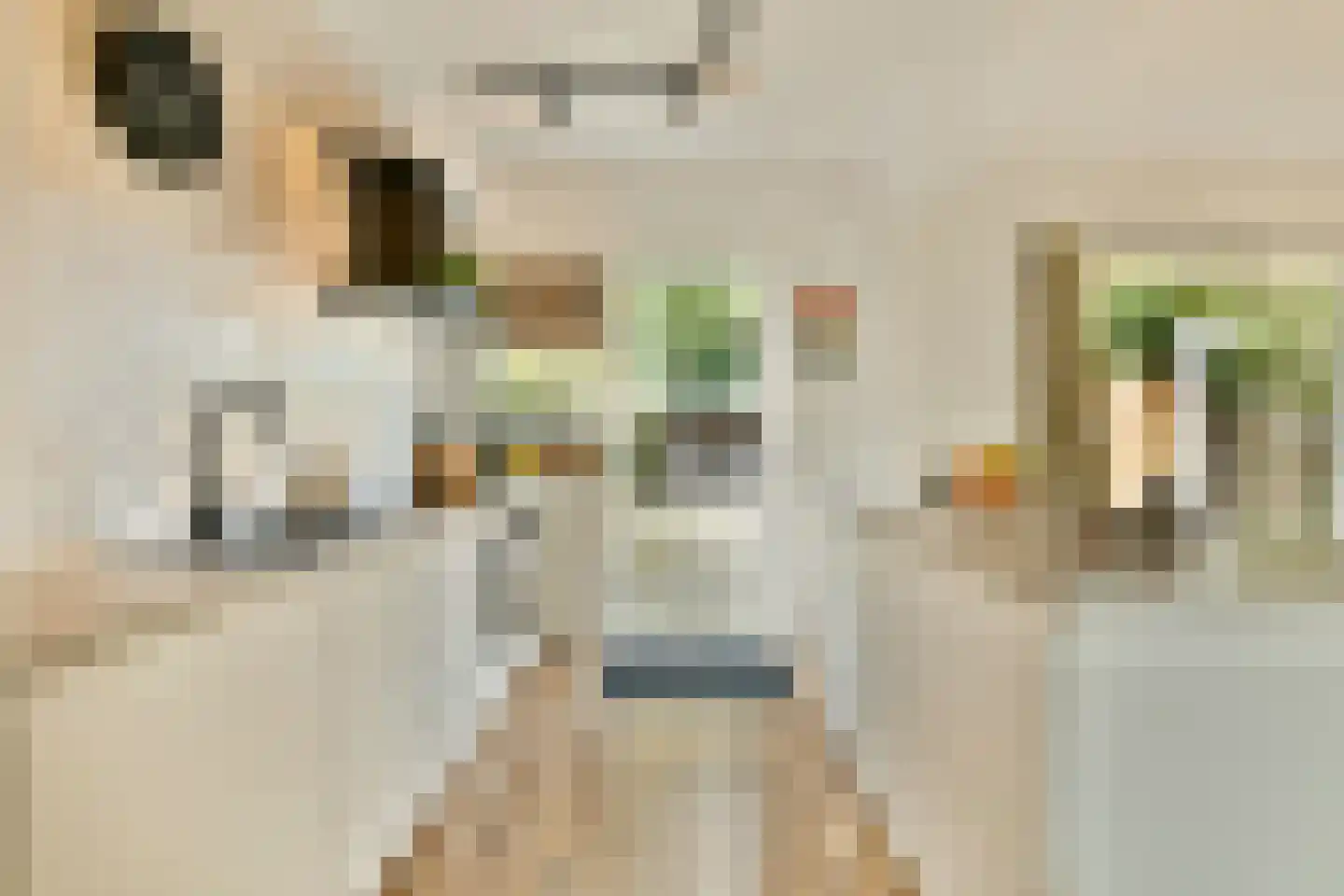 Kostverloren 54 Laren thumbnail 13
