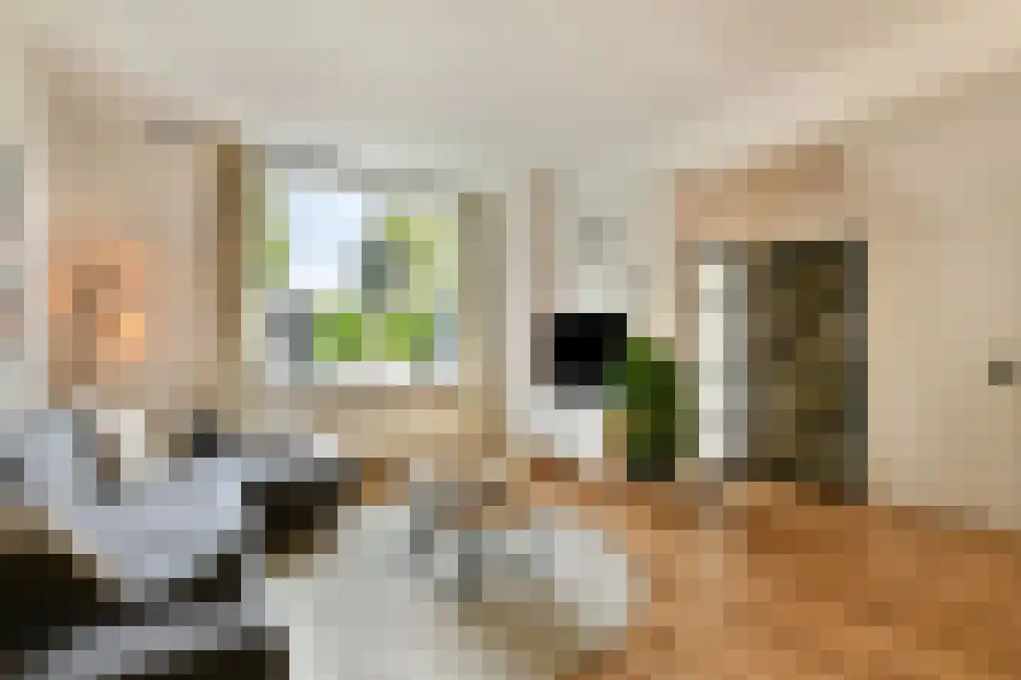 Kostverloren 54 Laren thumbnail 14