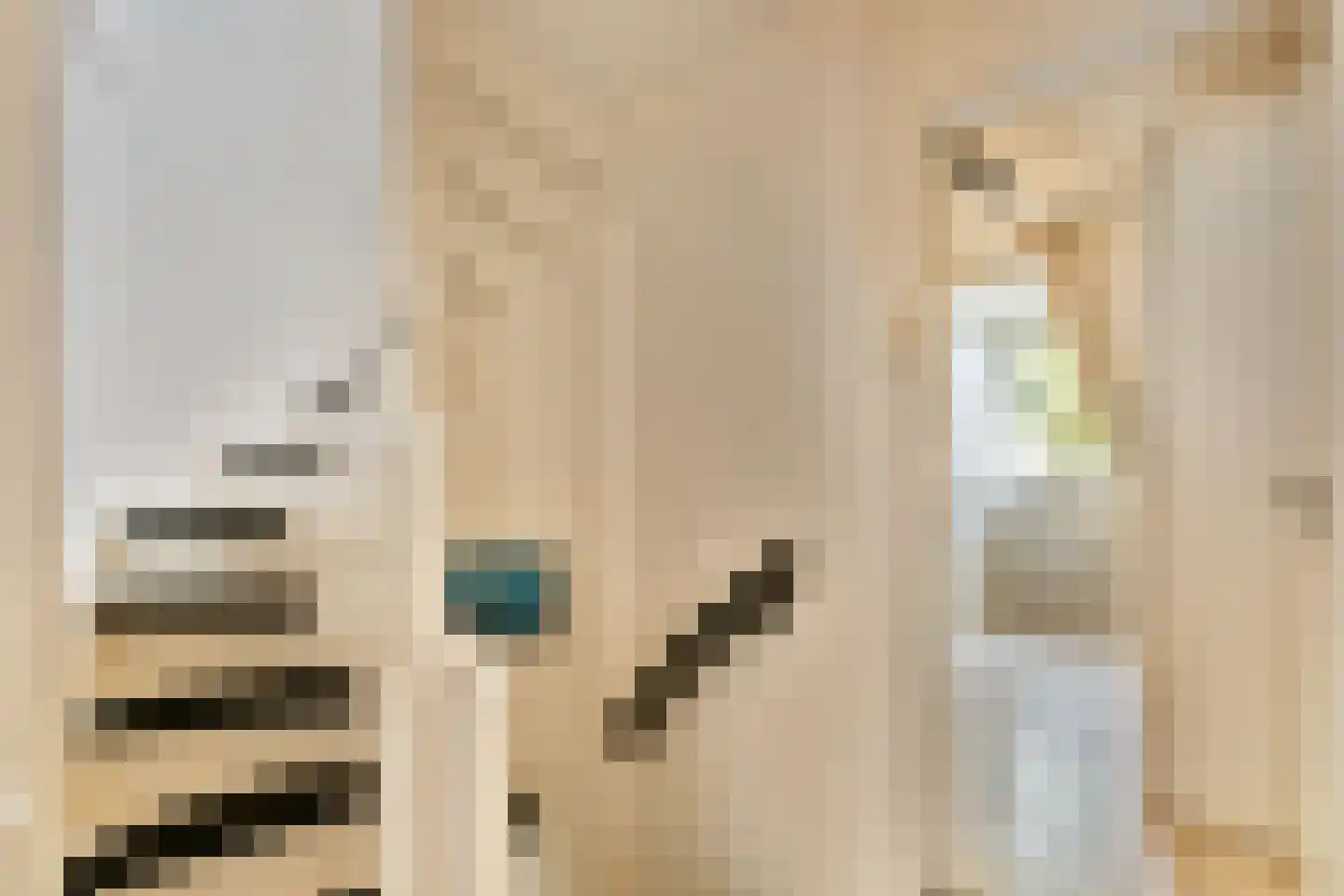 Kostverloren 54 Laren thumbnail 26