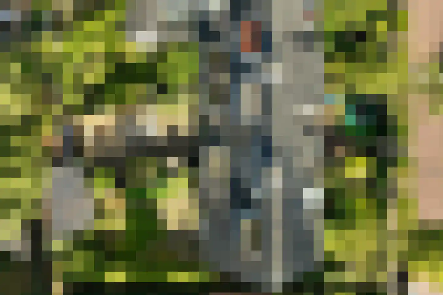 Kostverloren 54 Laren thumbnail 29