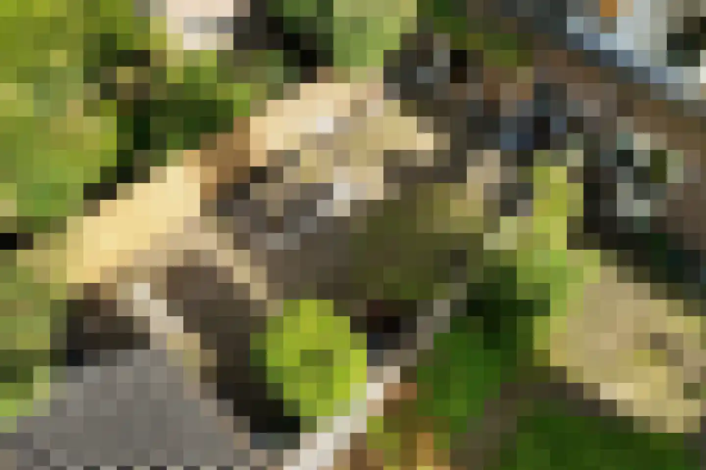 Kostverloren 54 Laren thumbnail 30