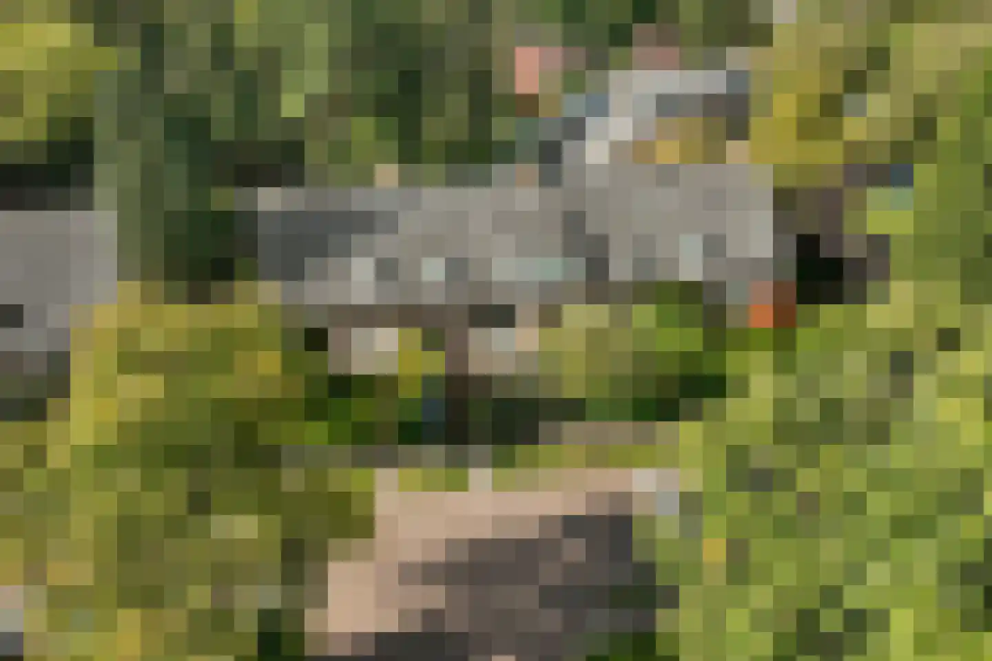 Kostverloren 54 Laren thumbnail 31
