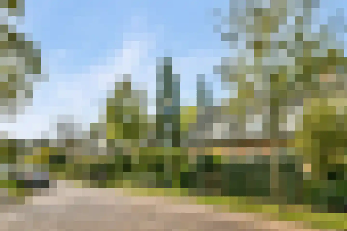 Kostverloren 54 Laren thumbnail 34