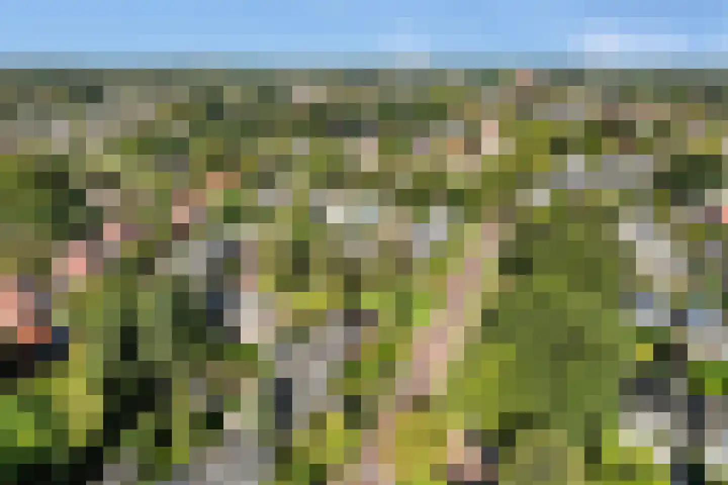 Kostverloren 54 Laren thumbnail 35