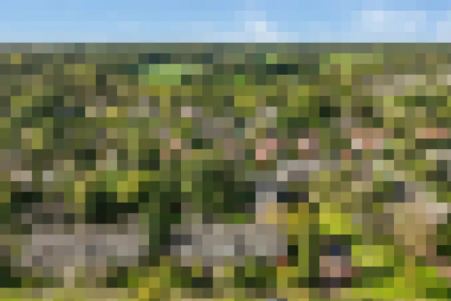 Kostverloren 54 Laren thumbnail 38