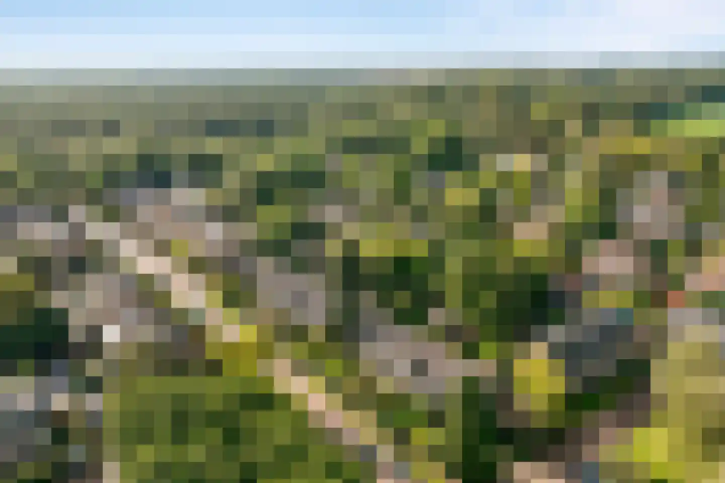 Kostverloren 54 Laren thumbnail 39