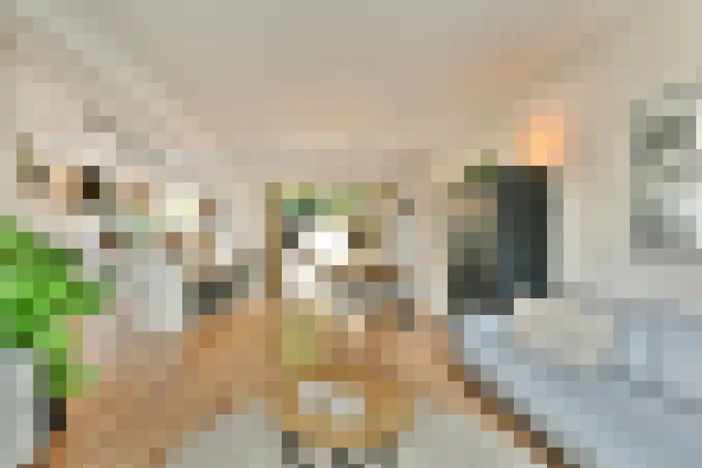 Kostverloren 54 Laren thumbnail 5