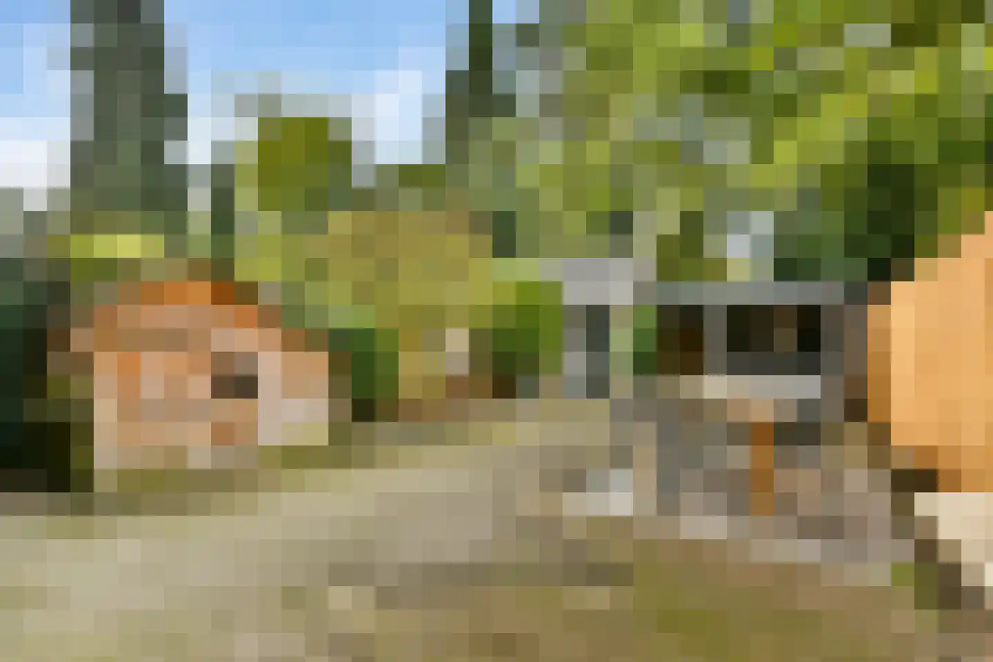 Kostverloren 54 Laren thumbnail 6