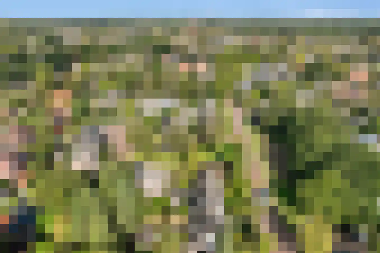 Kostverloren 54 Laren thumbnail 8