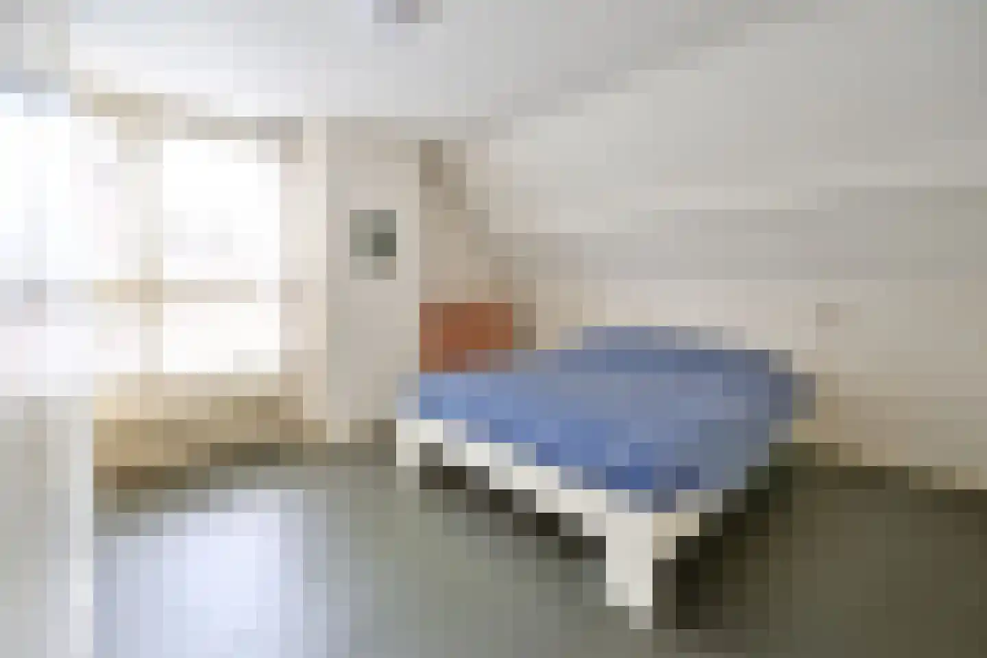Kostverloren 56 Laren thumbnail 16