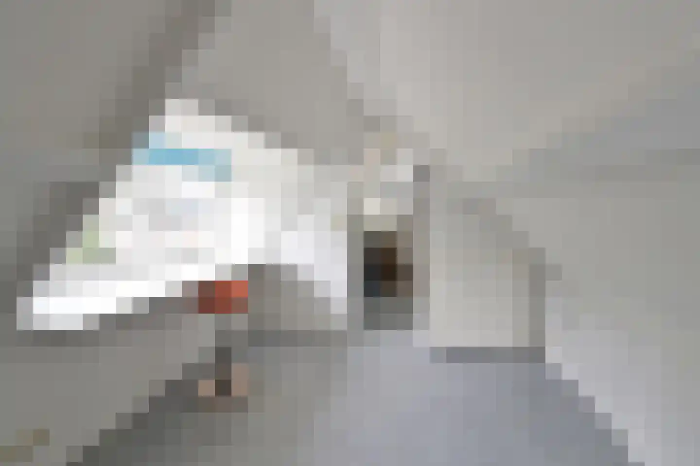 Kostverloren 56 Laren thumbnail 21