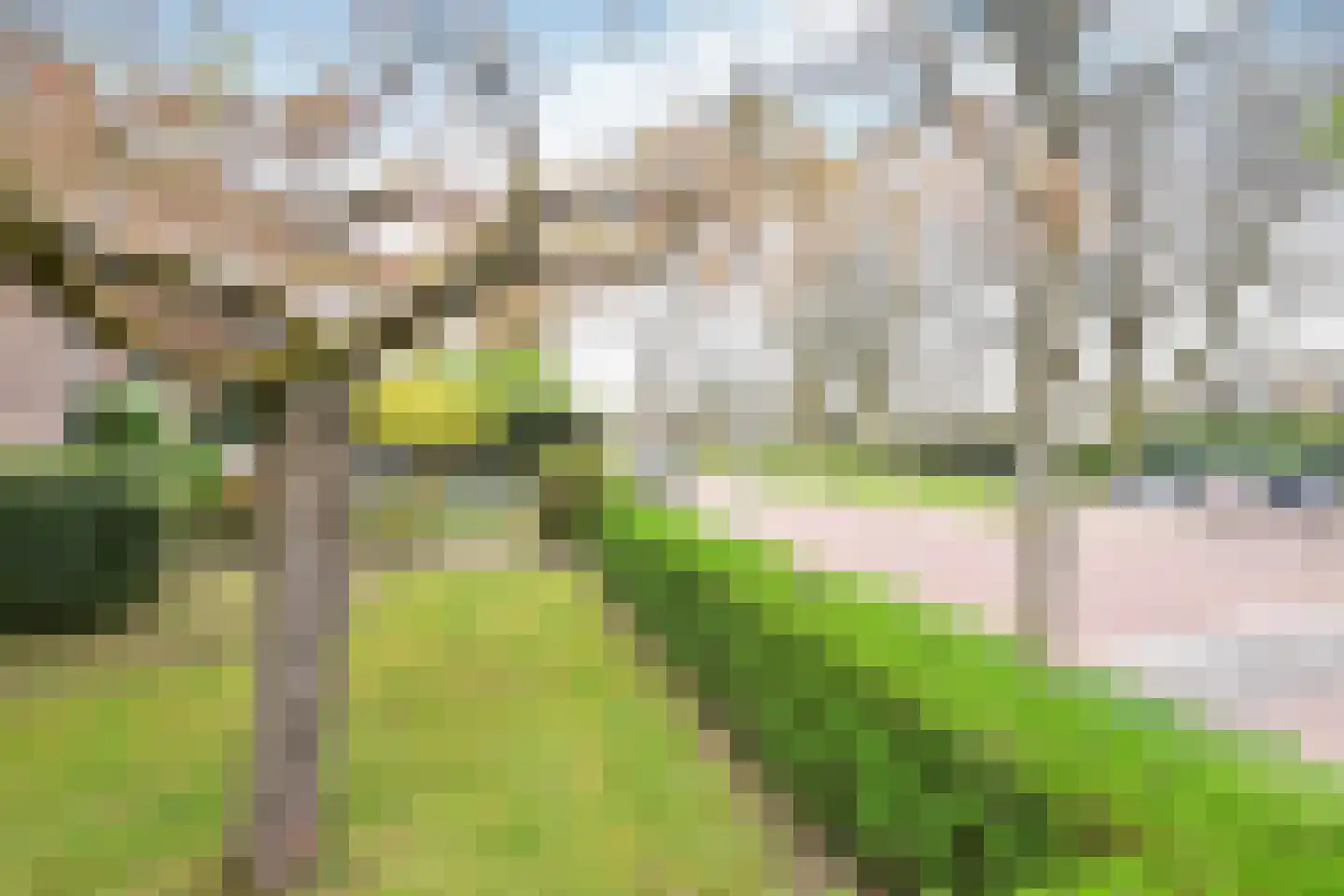 Kostverloren 56 Laren thumbnail 24
