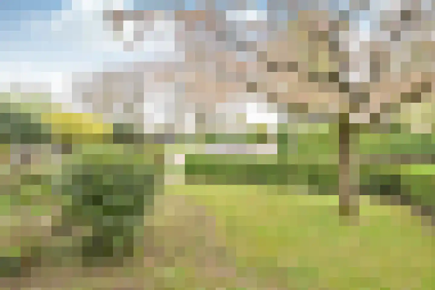 Kostverloren 56 Laren thumbnail 9