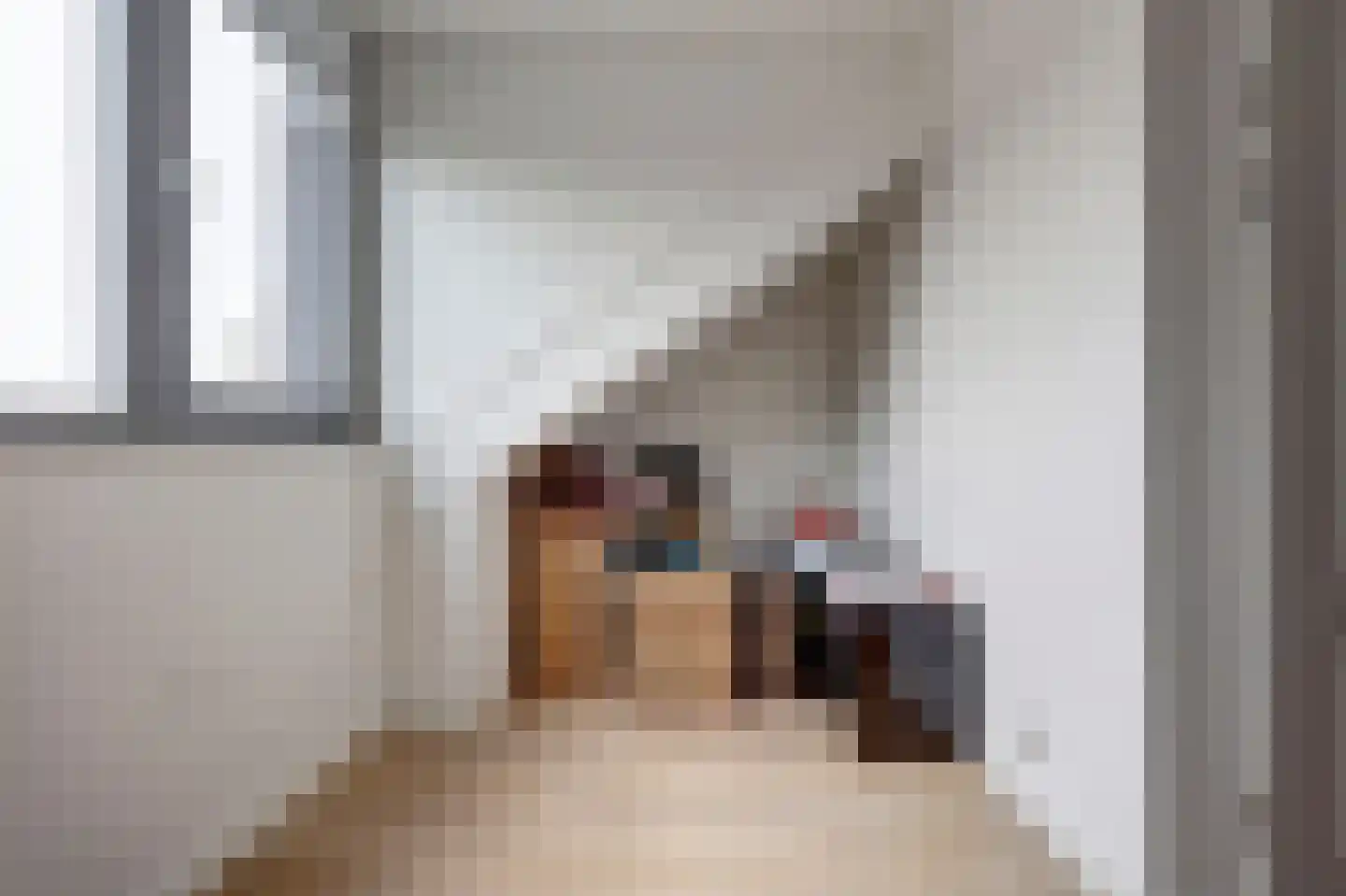 Kostverloren 6 Hoogvliet Rotterdam thumbnail 25