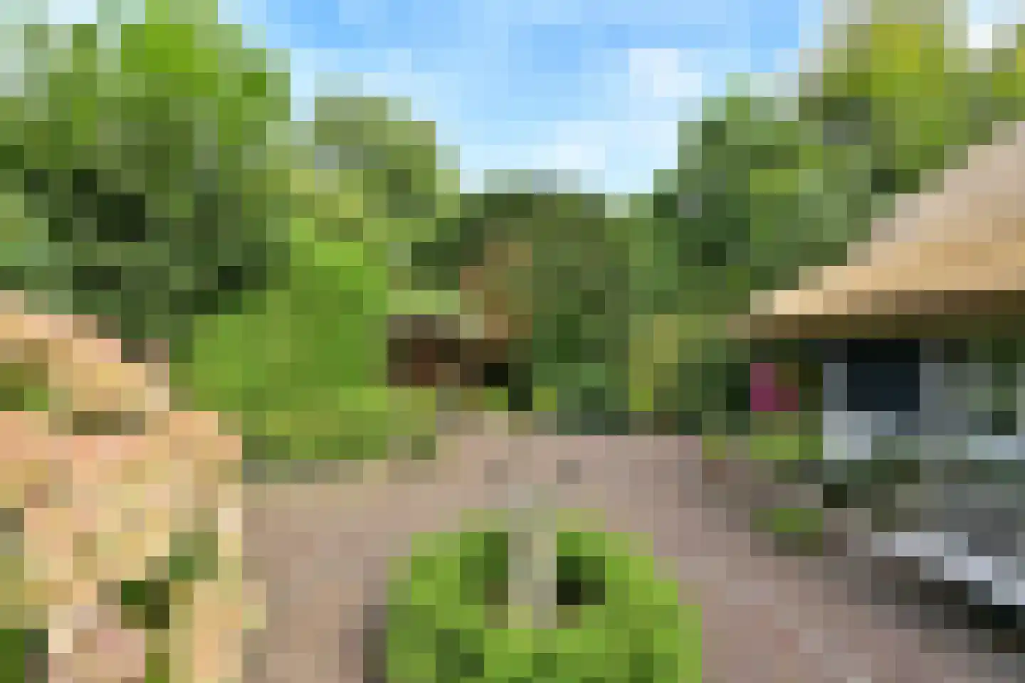 Kostverloren 64 a Laren thumbnail 17