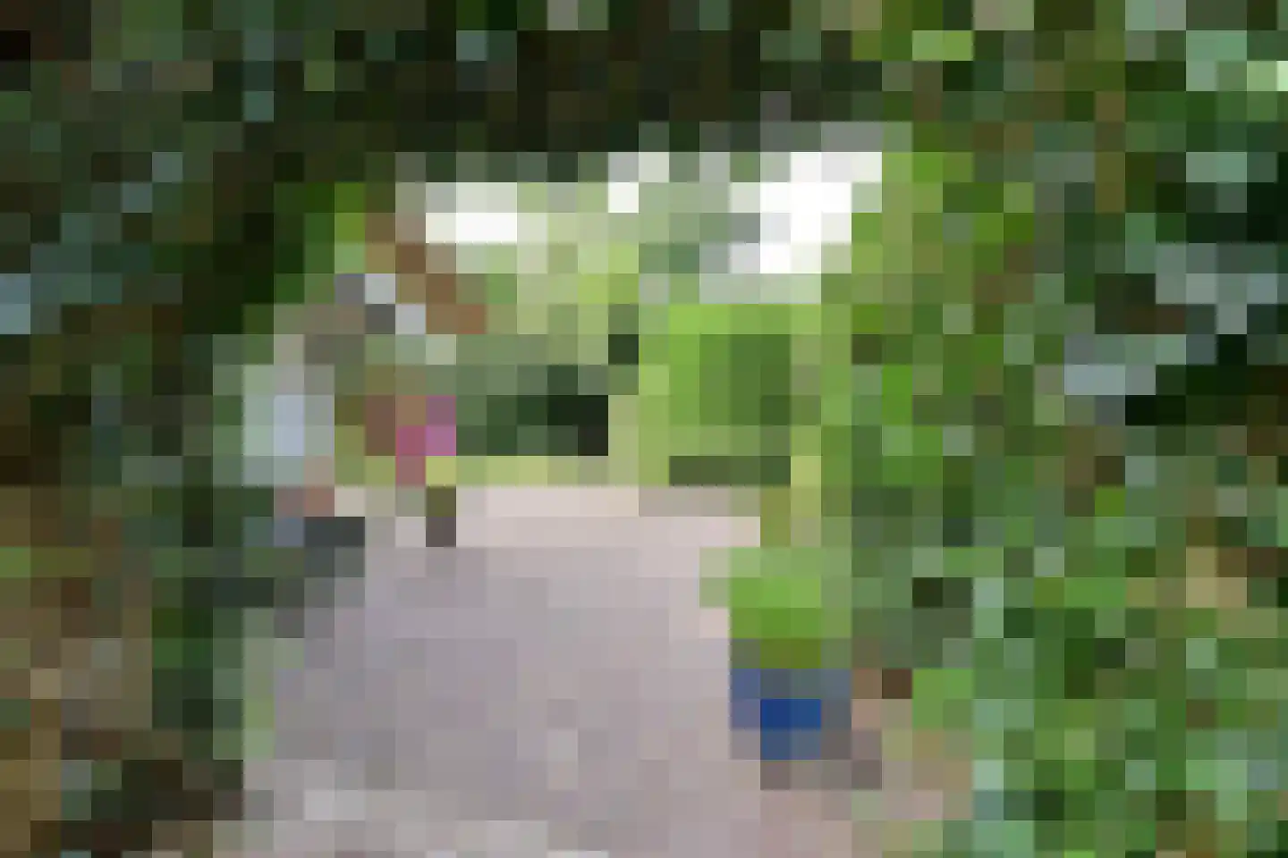 Kostverloren 64 a Laren thumbnail 20