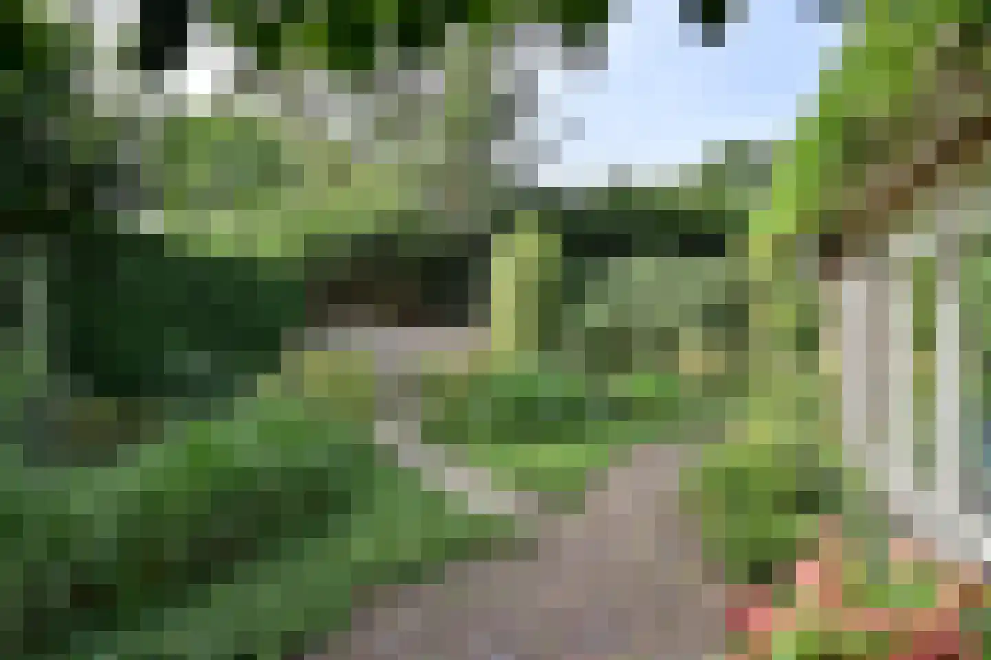 Kostverloren 64 a Laren thumbnail 22