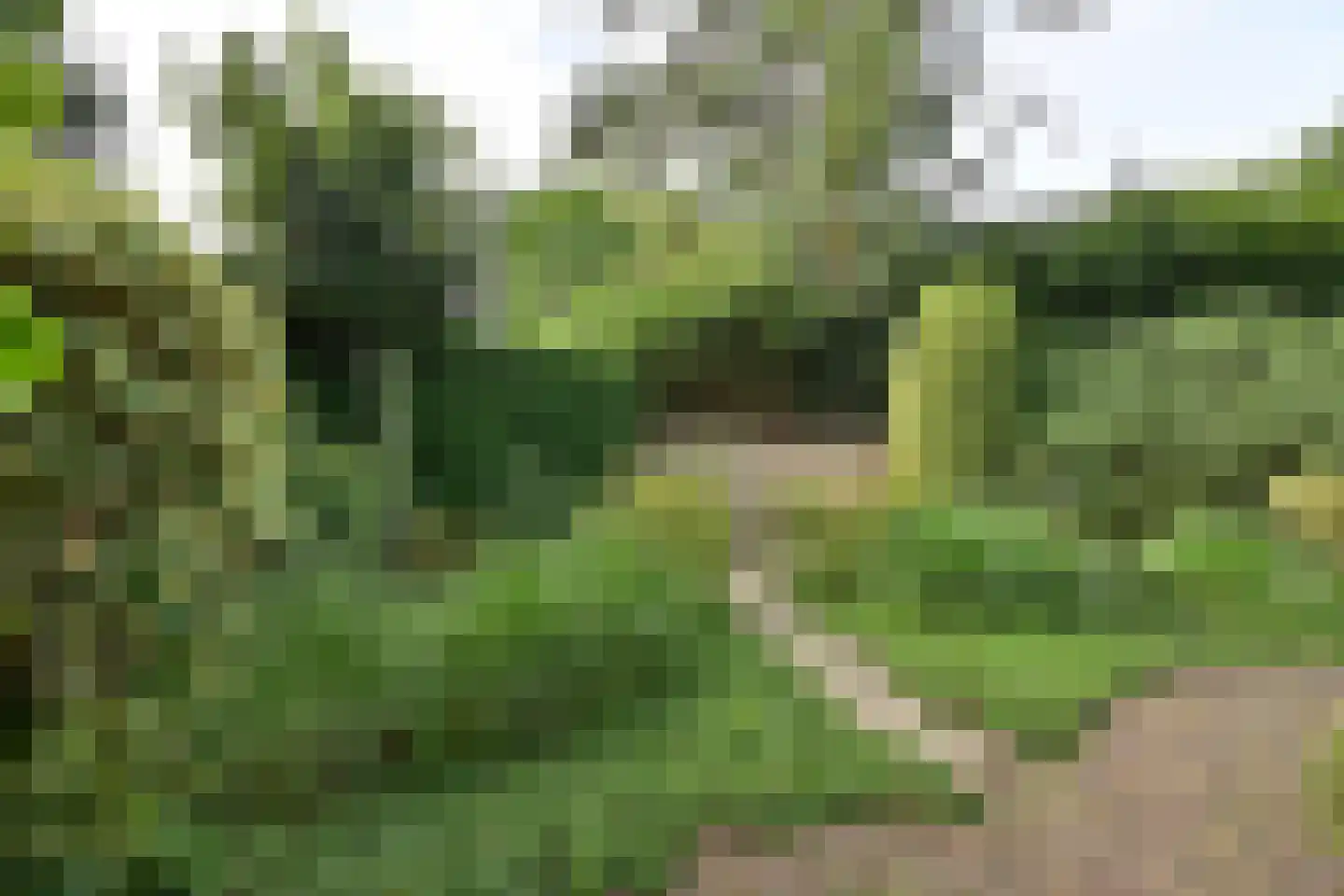 Kostverloren 64 a Laren thumbnail 25