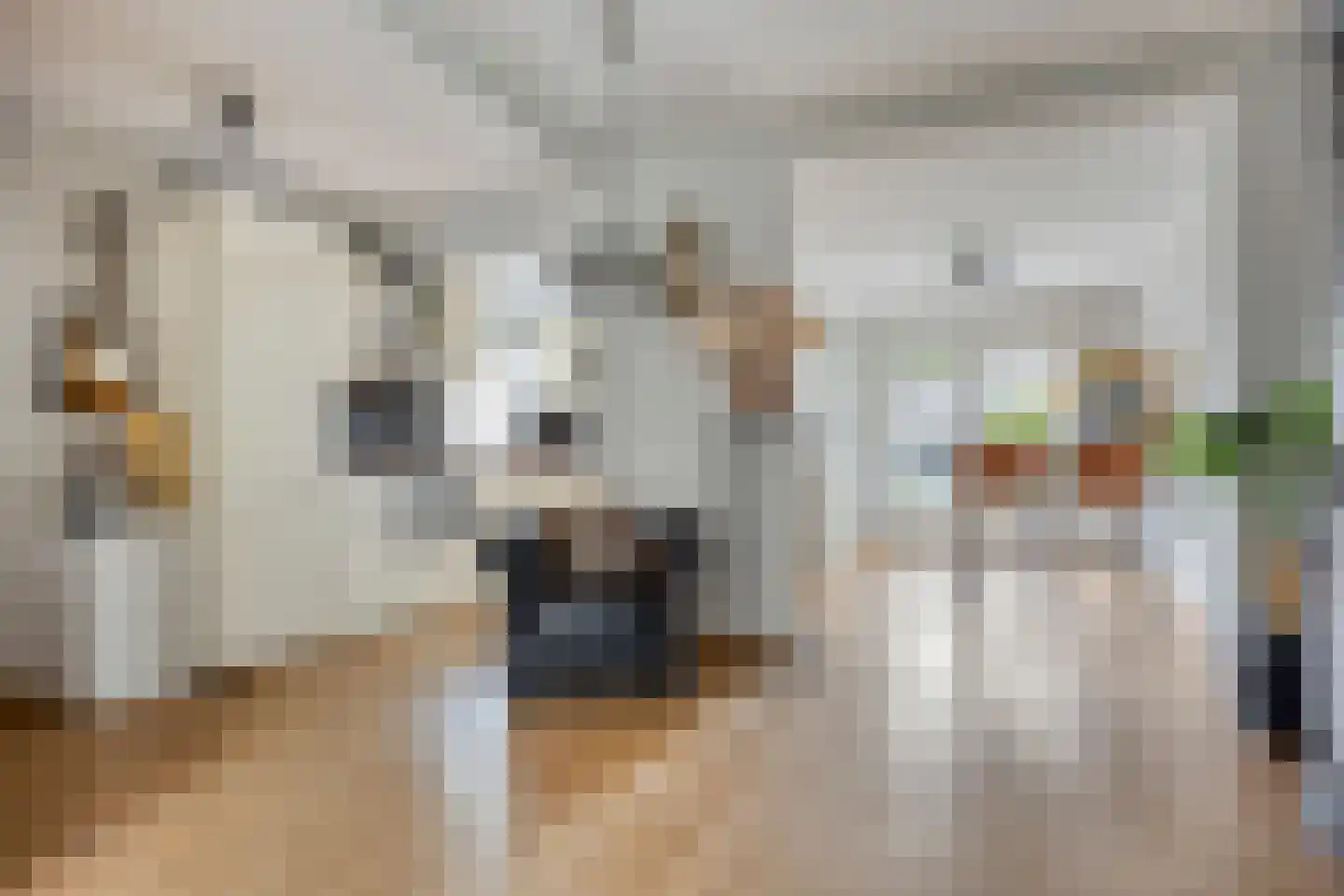 Kostverloren 67 Veenendaal thumbnail 5