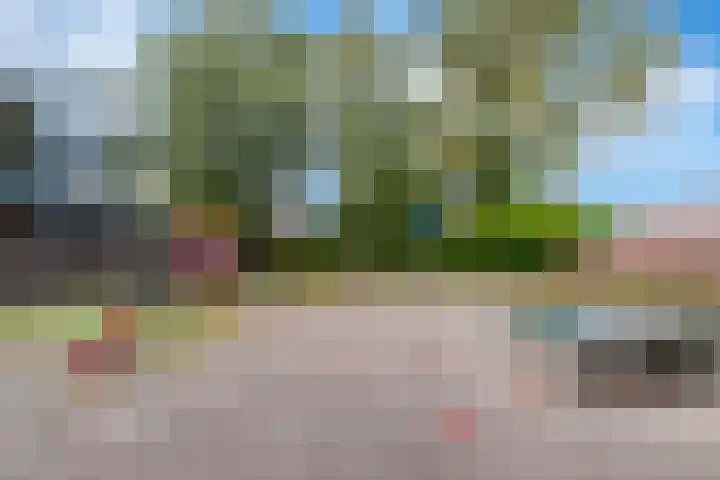 Kostverloren 76 Veenendaal thumbnail 25