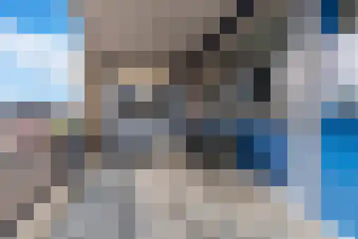 Kostverloren 76 Veenendaal thumbnail 8