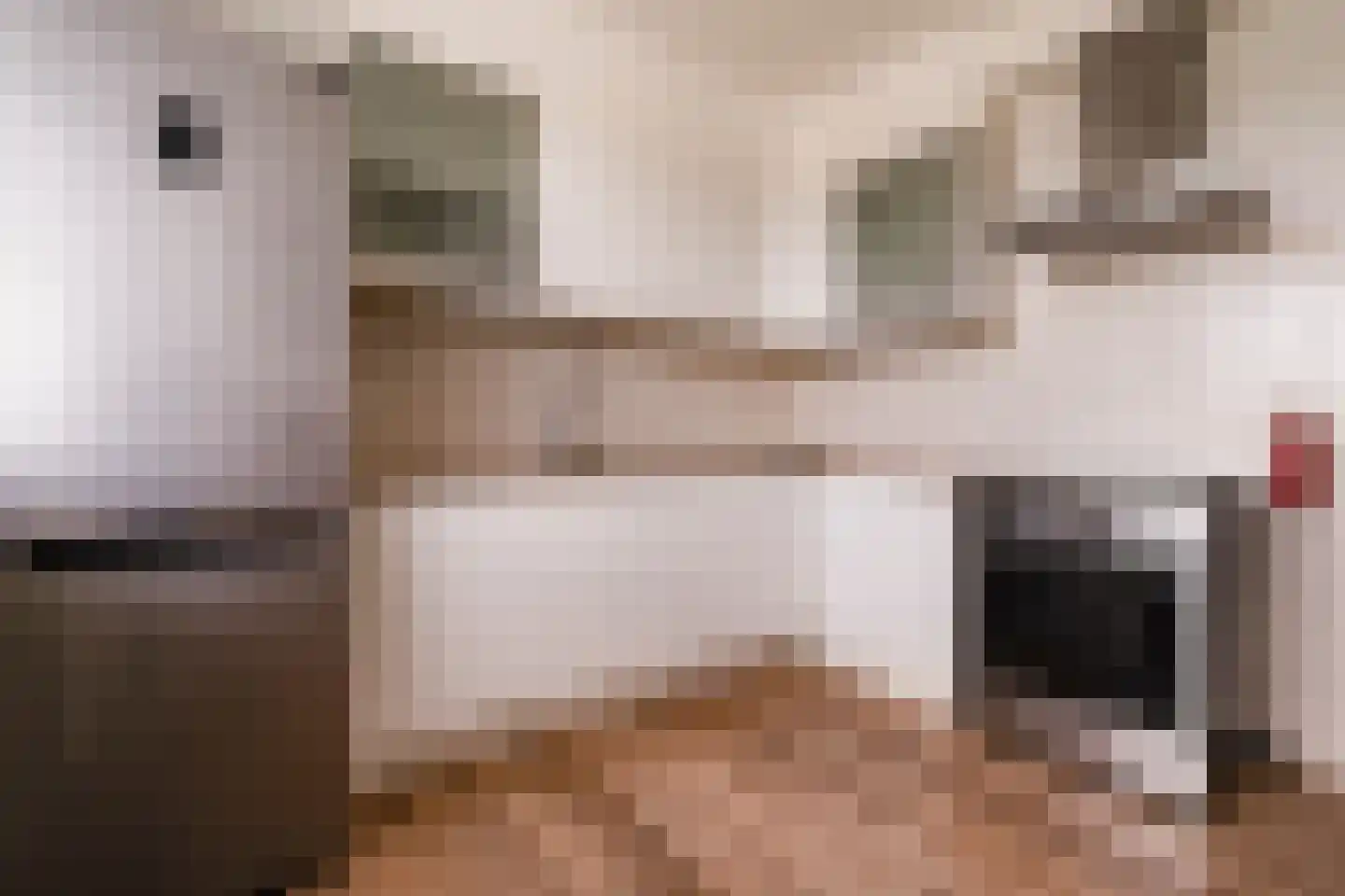 Kostverlorenhof 142 Amstelveen thumbnail 12