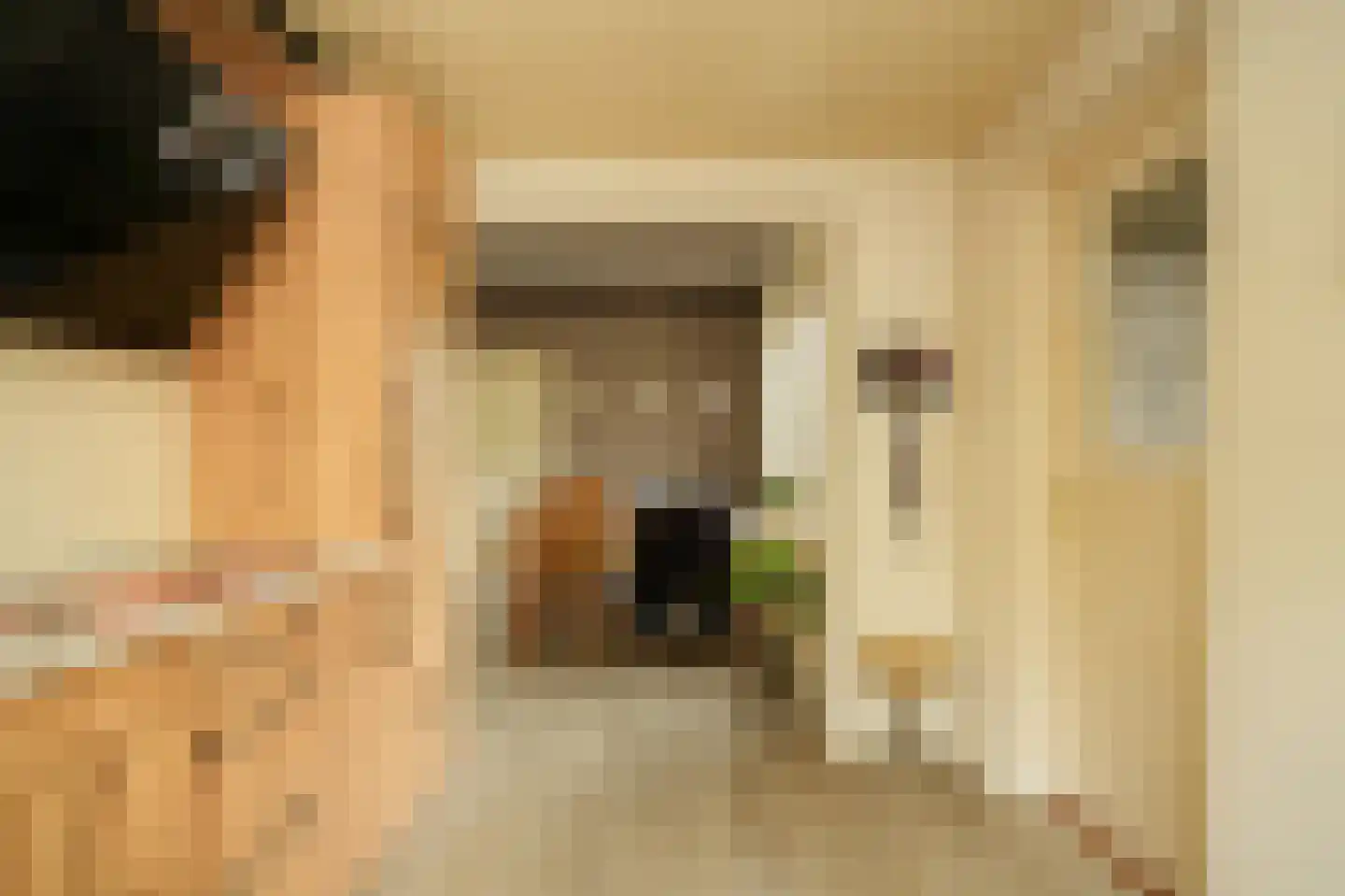 Kostverlorenkade 8 Geldermalsen thumbnail 11