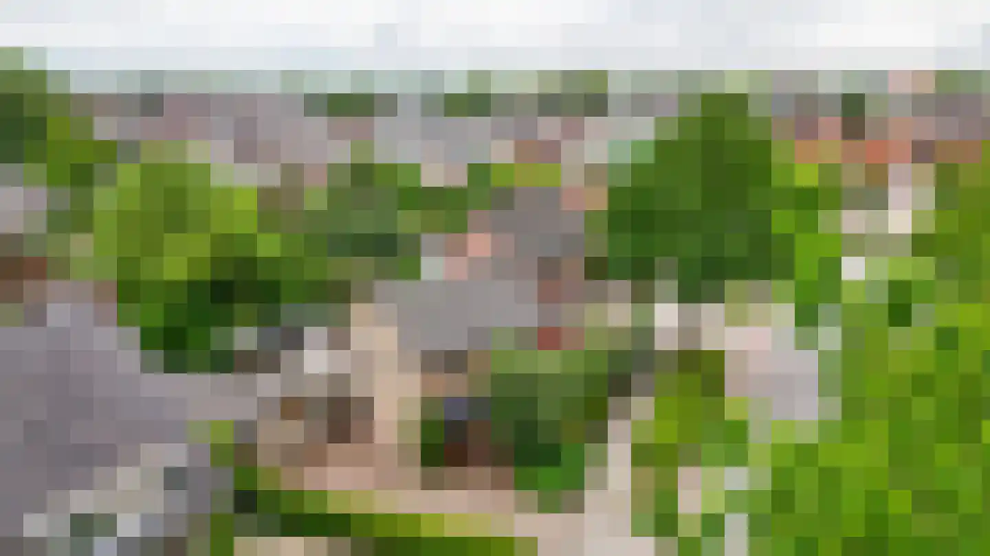 Kostverlorenkade 8 Geldermalsen thumbnail 32