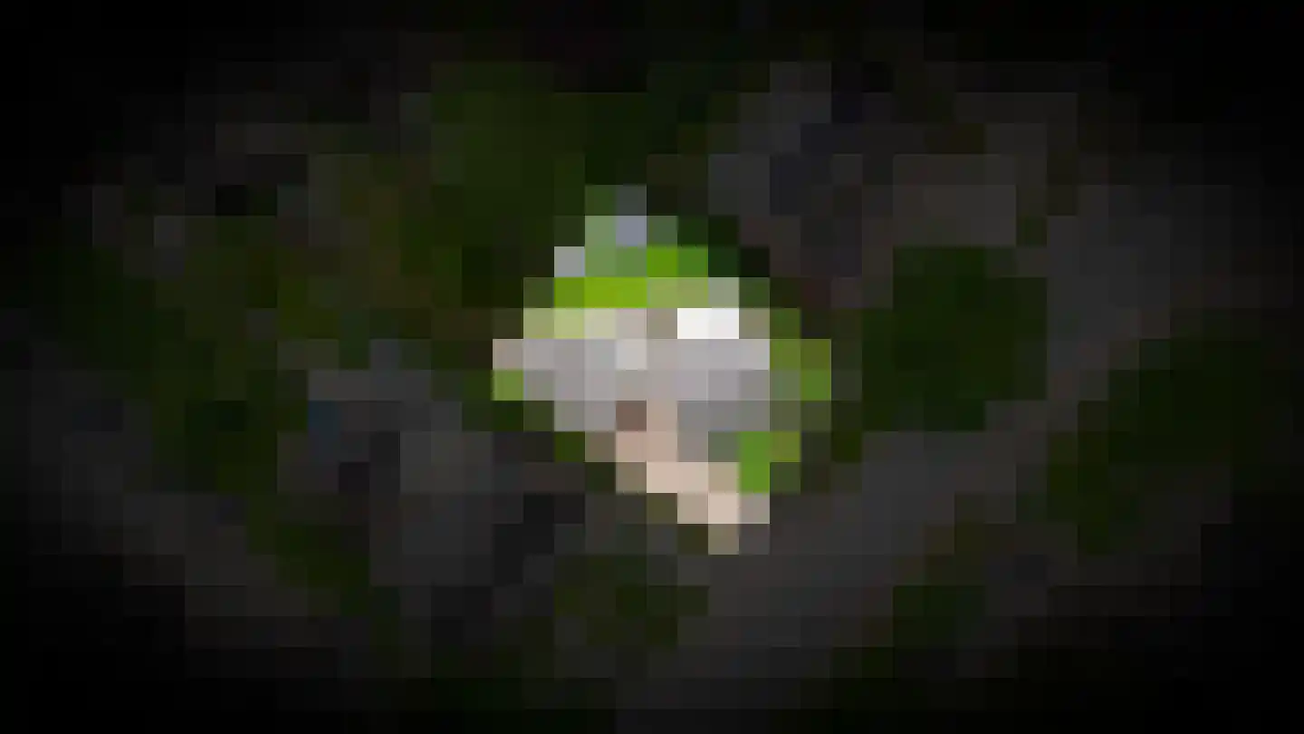 Kostverlorenkade 8 Geldermalsen thumbnail 33