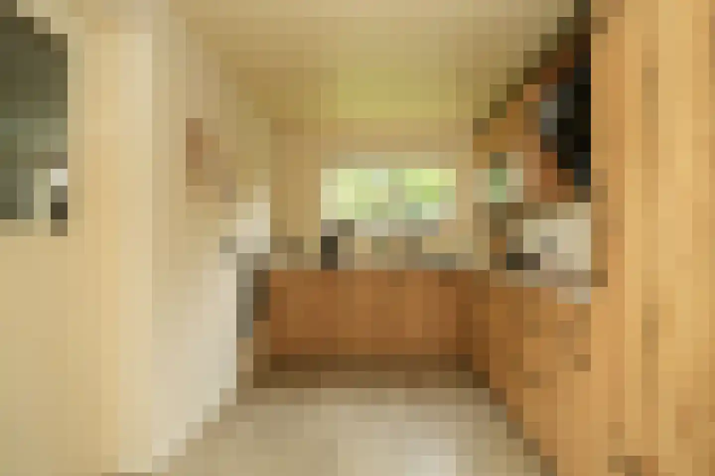 Kostverlorenkade 8 Geldermalsen thumbnail 4