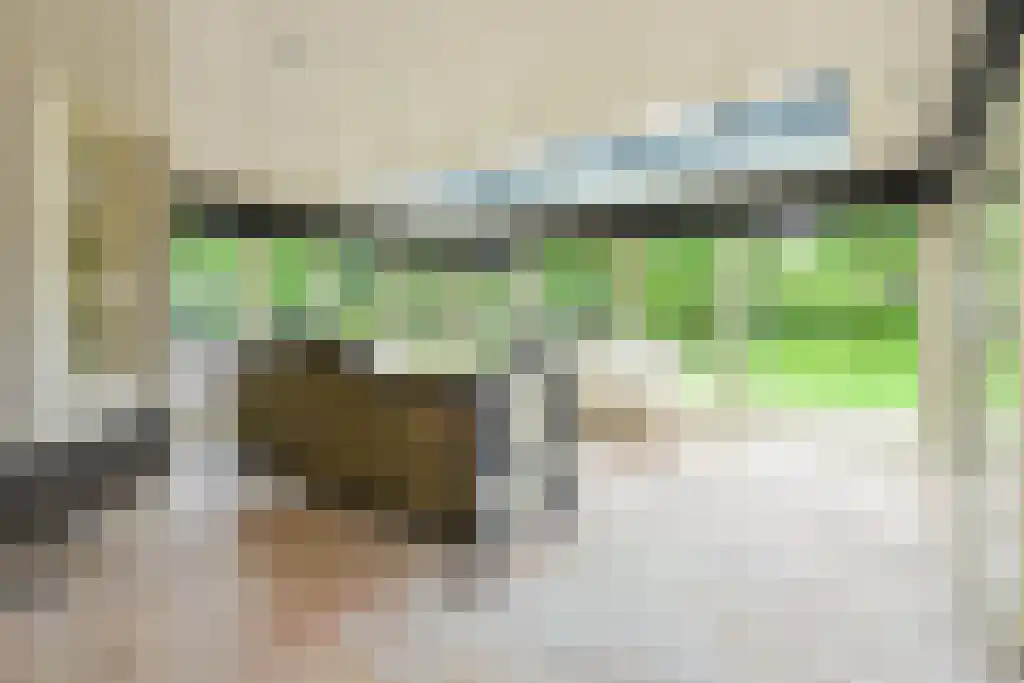 Kostverlorensteeg 2 B Harskamp thumbnail 10