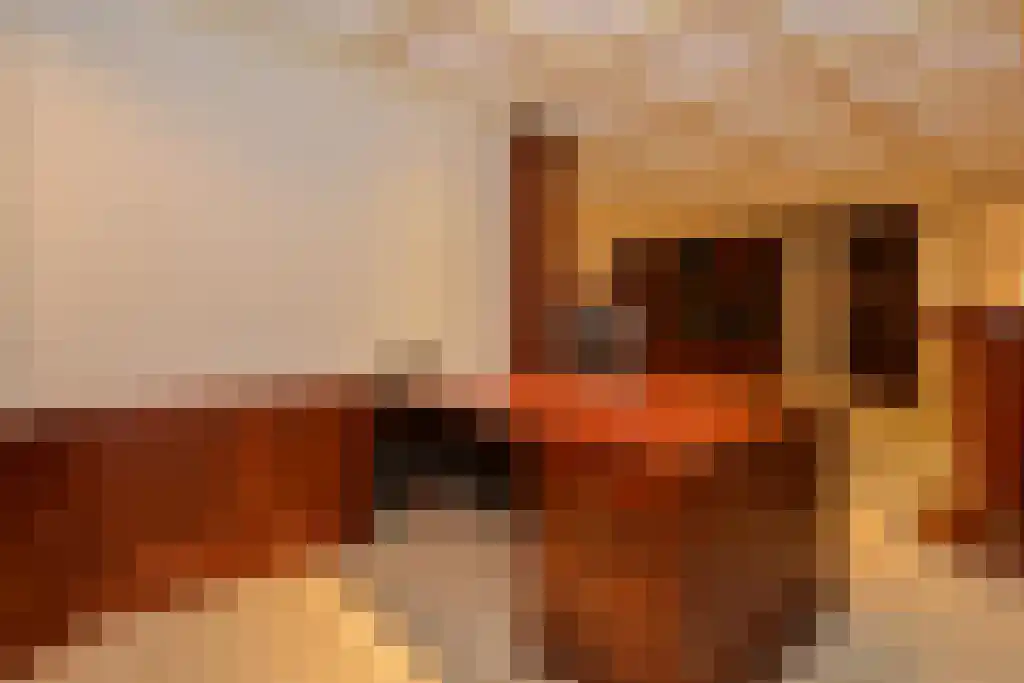 Kostverlorensteeg 2 B Harskamp thumbnail 23