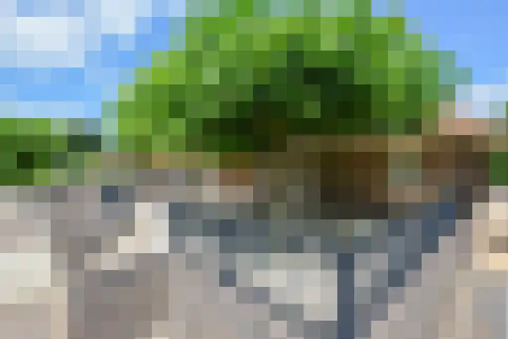Kostverlorensteeg 2 B Harskamp thumbnail 32