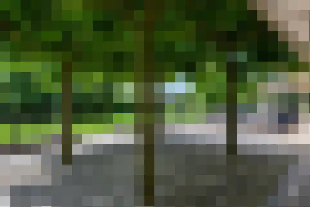 Kostverlorensteeg 2 B Harskamp thumbnail 33