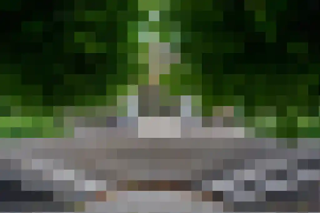 Kostverlorensteeg 2 B Harskamp thumbnail 35