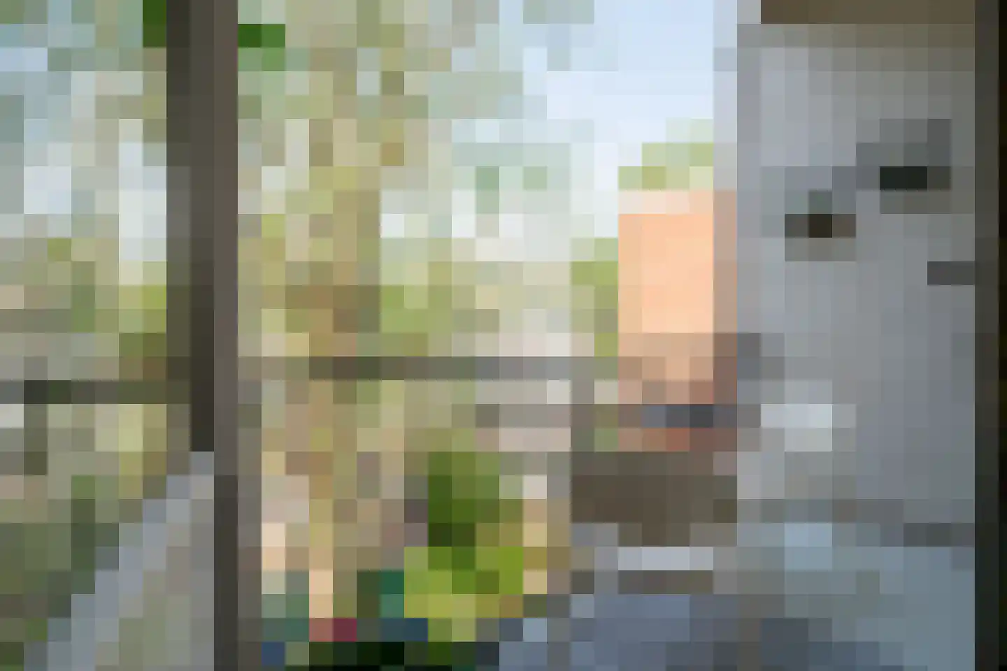 Kostverlorenstraat 10 2 Amsterdam thumbnail 14
