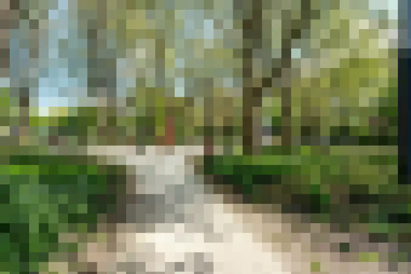 Kostverlorenstraat 11 3 Amsterdam thumbnail 24