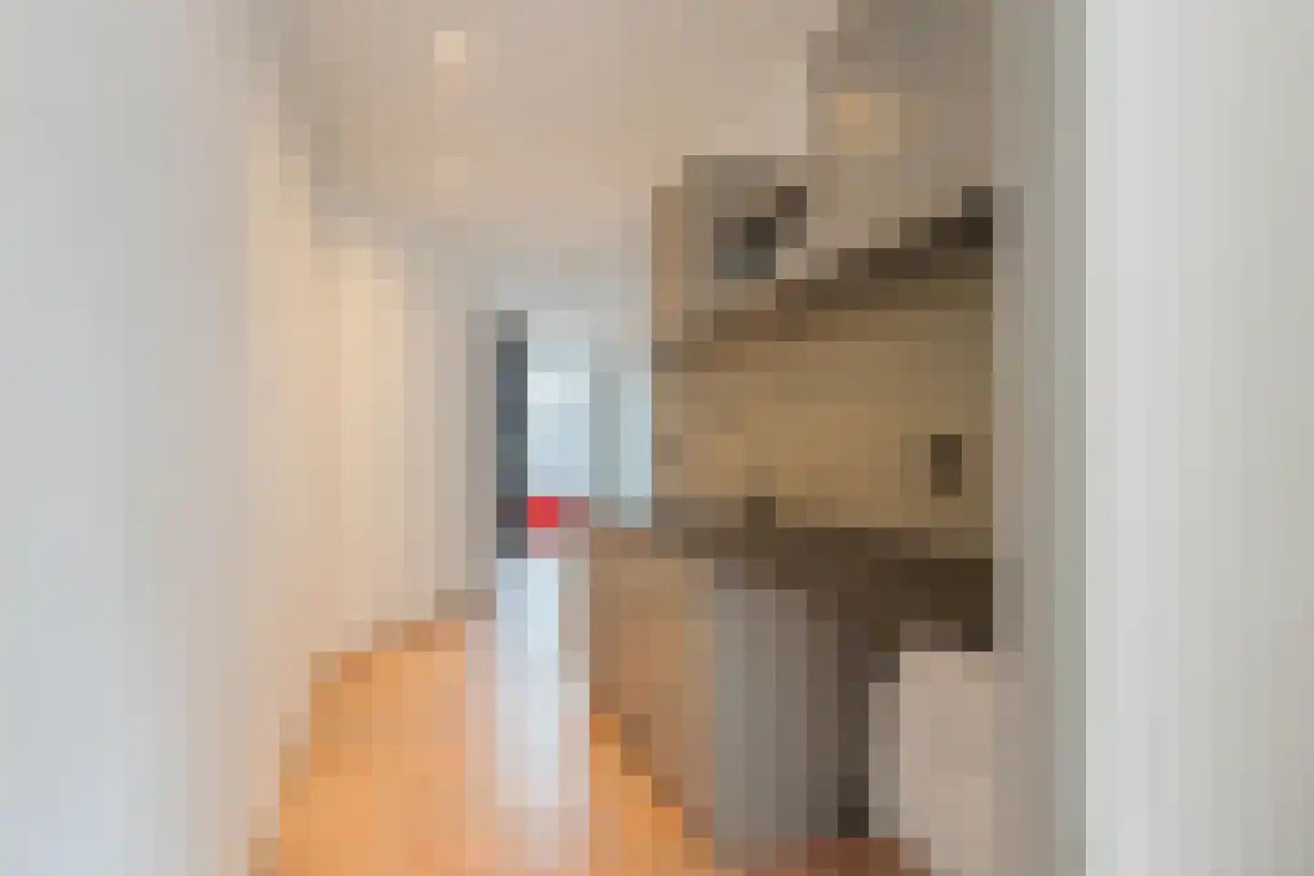 Kostverlorenstraat 12 Zandvoort thumbnail 8