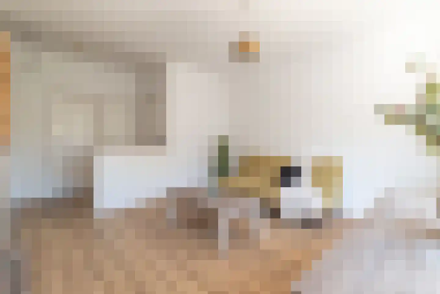 Kostverlorenstraat 14 2 Amsterdam thumbnail 10